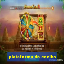 plataforma do coelho