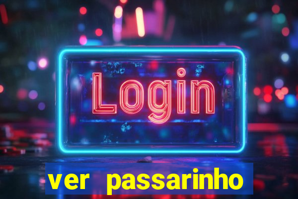 ver passarinho morto significado