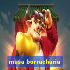 musa borracharia