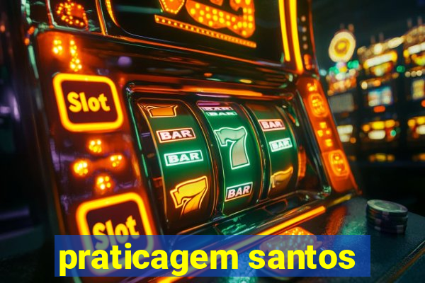 praticagem santos