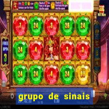 grupo de sinais mines whatsapp