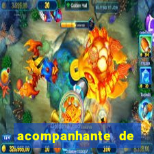 acompanhante de nova mutum