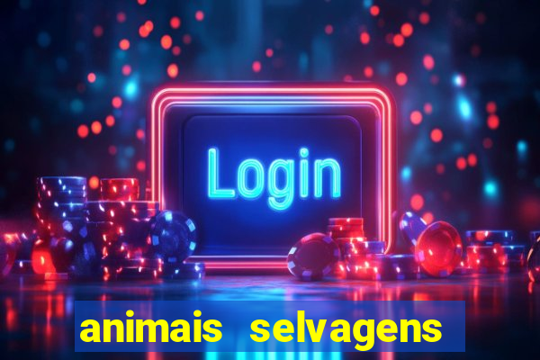 animais selvagens fotos e nomes