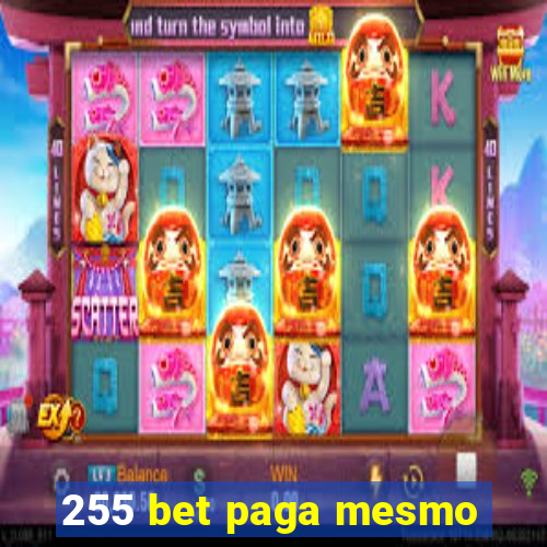 255 bet paga mesmo