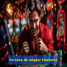 fortuna de miguel falabella