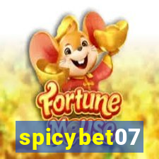 spicybet07