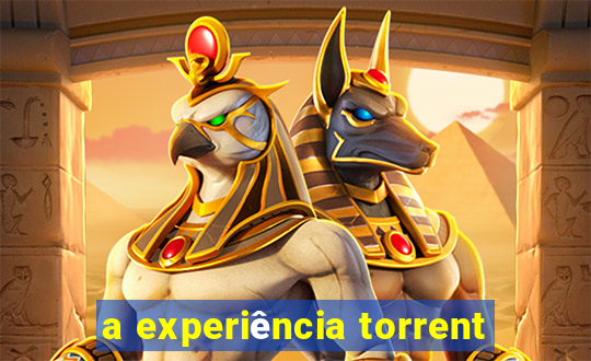 a experiência torrent