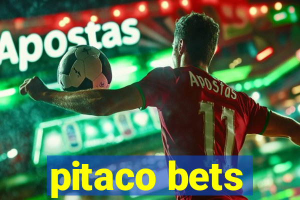 pitaco bets